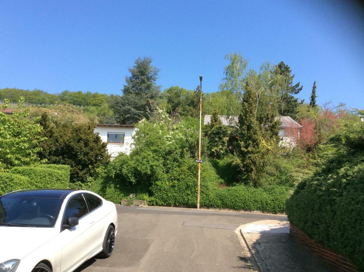 Wenzel Apartman Roxheim Kültér fotó